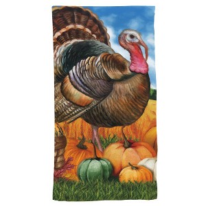 Briarwood Lane Fall Hand Towel 26x18 Turkey and Pumpkins For Fall Hand Towel - 1 of 3