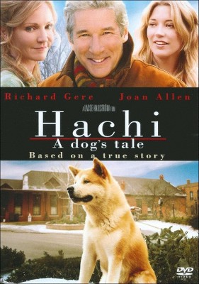 shiba hachi