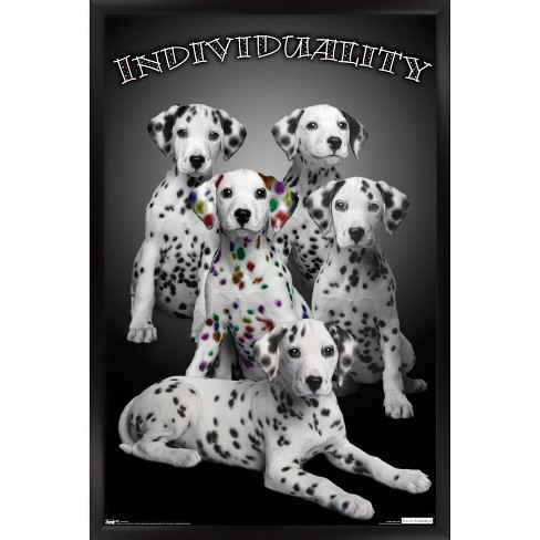 Trends International Keith Kimberlin - Dalmatian Puppies With Colored ...