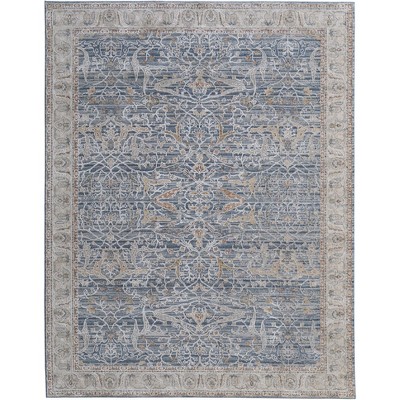 Pasha Transitional Ikat Area Rug