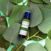 Eucalyptus Essential Oil 10ml - SpaRoom: Plant-Based Aromatherapy, Pure Oil for Diffusers, Wellness Support - image 2 of 4