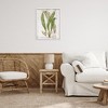 Stupell Industries Thin Fern Leaves Study, 30" x 24" - 2 of 4