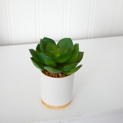 Desert Essence 7" Potted Plastic Succulent in White Planter