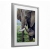 Stupell Industries Baby Elephant And Mother Framed Print Under Glass Art, Gray, 13" x 16" - 2 of 4