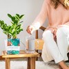 Instant Plant Food 4 Tablet Probiotic Pouch for Houseplants 0.96oz - 3 of 4