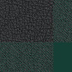 michigan state spartans