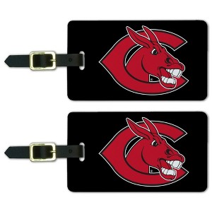 University of Central Missouri Secondary Logo Luggage ID Tags Suitcase CarryOn Cards  Set of 2 - 1 of 4