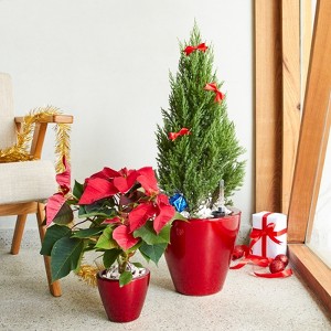 VisioGear 2-Pack Planter Pot for Indoor and Outdoor, Red - Round Cone Planter Pot with Support Base, Red, 10.2"*10.2"*9.4" - 1 of 4