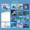 2026 Square Wall Calendar, Dolphins, 16-Month Animals Theme with 180 Reminder Stickers (12x12 In) - 4 of 4