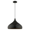 Livex Lighting Metal Shade 1 - Light Chandelier in  Shiny Black - 3 of 4