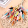 Unique Bargains Natural Dried Floral Bunny Tail Artificial Plants 60 Pcs - 3 of 4
