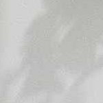 ash, sage, silver gray, onyx