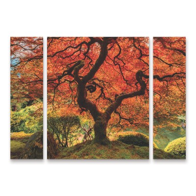 Trademark Fine Art -Moises Levy 'The Tree Vertical' Multi Panel Art Set Large 3 Piece