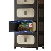 Foldable Storage Cabinet with Rattan-Style Doors, Stackable Plastic Organizer with Brake Casters Black - 4 of 4