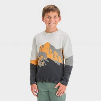 Boys' Mountain Scape Graphic Pullover Sweater - Cat & Jack™ Gray