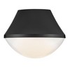 Lark Haddie 1 - Light Flush Mount in  Black - 3 of 4