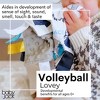 Baby Jack The Learning Lovey Volleyball Bump Set Spike Sports Tag Toy Soother 10" x 10" - 3 of 4