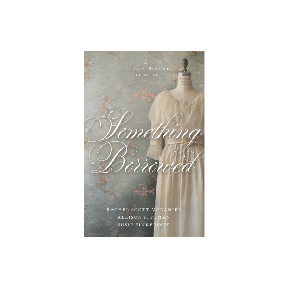 Something Borrowed - by Susie Finkbeiner & Rachel Scott McDaniel & Allison Pittman (Paperback)