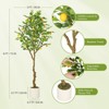 5/6FT Artificial Lemon Tree Indoor, Pre Potted Faux Lemon Tree with Realistic Fruit and Lifelike Leaves,Fake Lemom Plant with Lights for Home Decor - 2 of 4