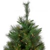 Northlight Pre-Lit Medium Canyon Pine Artificial Christmas Tree - 9' - Clear Lights - 4 of 4