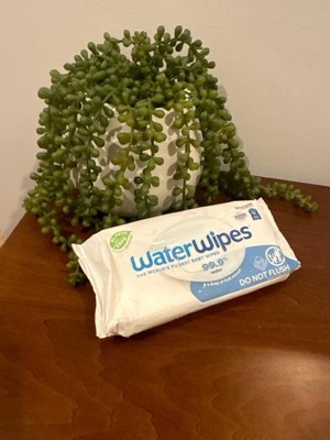 Waterwipes Plastic-free Original Unscented 99.9% Water Based Baby Wipes -  540ct : Target