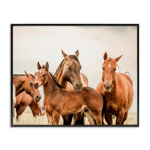 Stupell Industries Horse & Foals Photography Framed Giclee Art - 1 of 4