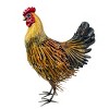 16" Indoor/Outdoor Metal Hen Decorative Garden Statue Golden Brown - Alpine Corporation: Iron Crafted Yard Art - image 3 of 3