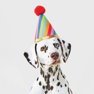Birthday Headwear Dog Hat - Boots & Barkley™ One Size Fits Most - 1 of 3
