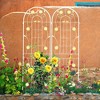 2 Pack Metal Garden Trellis for Climbing Plants,Plant Support Climbing Vines and Flowers Stands, Iron Decorative Plant Trellis for Outdoor Patio - 4 of 4