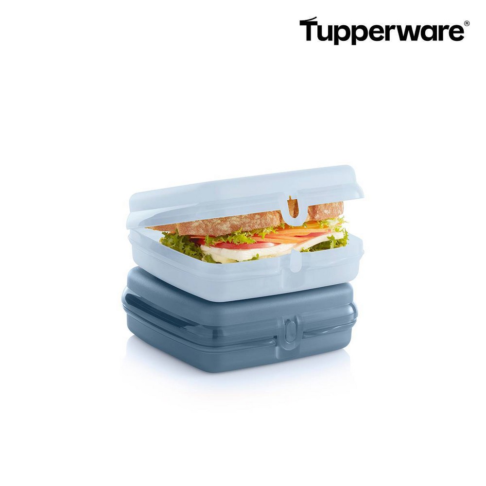 Tupperware Sandwich Keeper Container