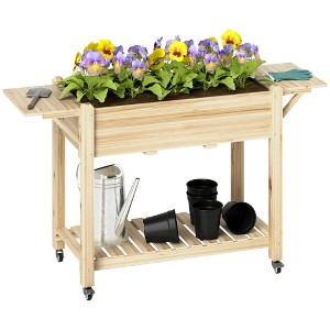 Outsunny Raised Garden Bed, Wood Elevated Planter Box with Lockable Wheels, Side Tables, Bottom Shelf, Bed Liner and Drainage Holes - 1 of 4