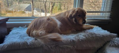 Guest review image 3 of 5, zoom in