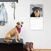 2026 Square Wall Calendar, Rottweiler, 16-Month Paw Prints Theme with 180 Reminder Stickers (12x12 In) - 2 of 4