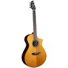 Breedlove Performer Pro Concert Acoustic-Electric Guitar Aged Toner - 3 of 4