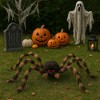 Palmer Agencies Ltd Giant Poseable Tarantula Halloween Decor | 30 Inches - 3 of 4