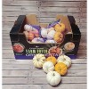 Fresh Mixed Pumpkins - 6ct Bag - 2 of 2