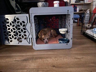 Kindtail Pawd Cat And Dog Crate - M - Gray : Target