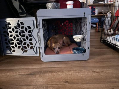 Nylabone pet carrier outlet collapse