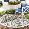 Veranda VER096 Power Loomed Indoor/Outdoor Rugs - Safavieh - 2 of 3