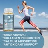 B Beworth Collagen Capsules with Plant-based Calcium & Magnesium -  Immune,Skin & Bone Health, 120ct - 4 of 4