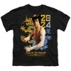 Boys' Short Sleeve Bruce Lee Two Tone Year Of the Dragon T-Shirt - 2 of 4