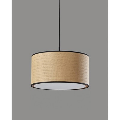 Black Brass Drum Pendant Light with LED and Incandescent Options