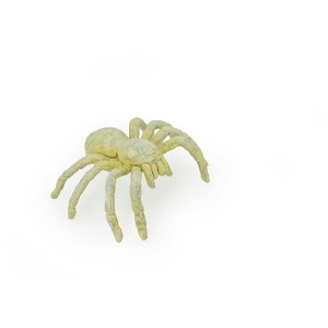 Collectible Wildlife Gifts | Spider, Cave, Plastic Toy Animal, Kids Gift, Realistic Figure, Educational Model, Replica, Gift,     2"     F770-B625 - 1 of 1
