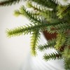 30"H, 24.5"H and 18.75"H Sullivans Pine Tree In Metal Pots - Set of 3, Green - 2 of 3