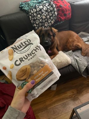 Nutro dog hotsell treats reviews