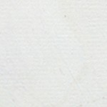 coastal white