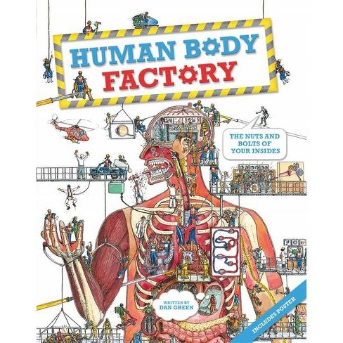 The Human Body Factory - by Dan Green - image 1 of 1