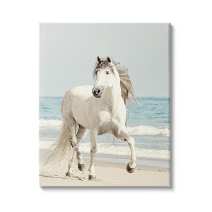Stupell Industries Galloping White Stallion Wild Horse Sun Bleached Coast - 1 of 4