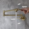 Modern Double-Handle Wall Mount Pot Filler Faucet - 2 of 4