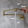 Modern Double-Handle Wall Mount Pot Filler Faucet - image 2 of 4